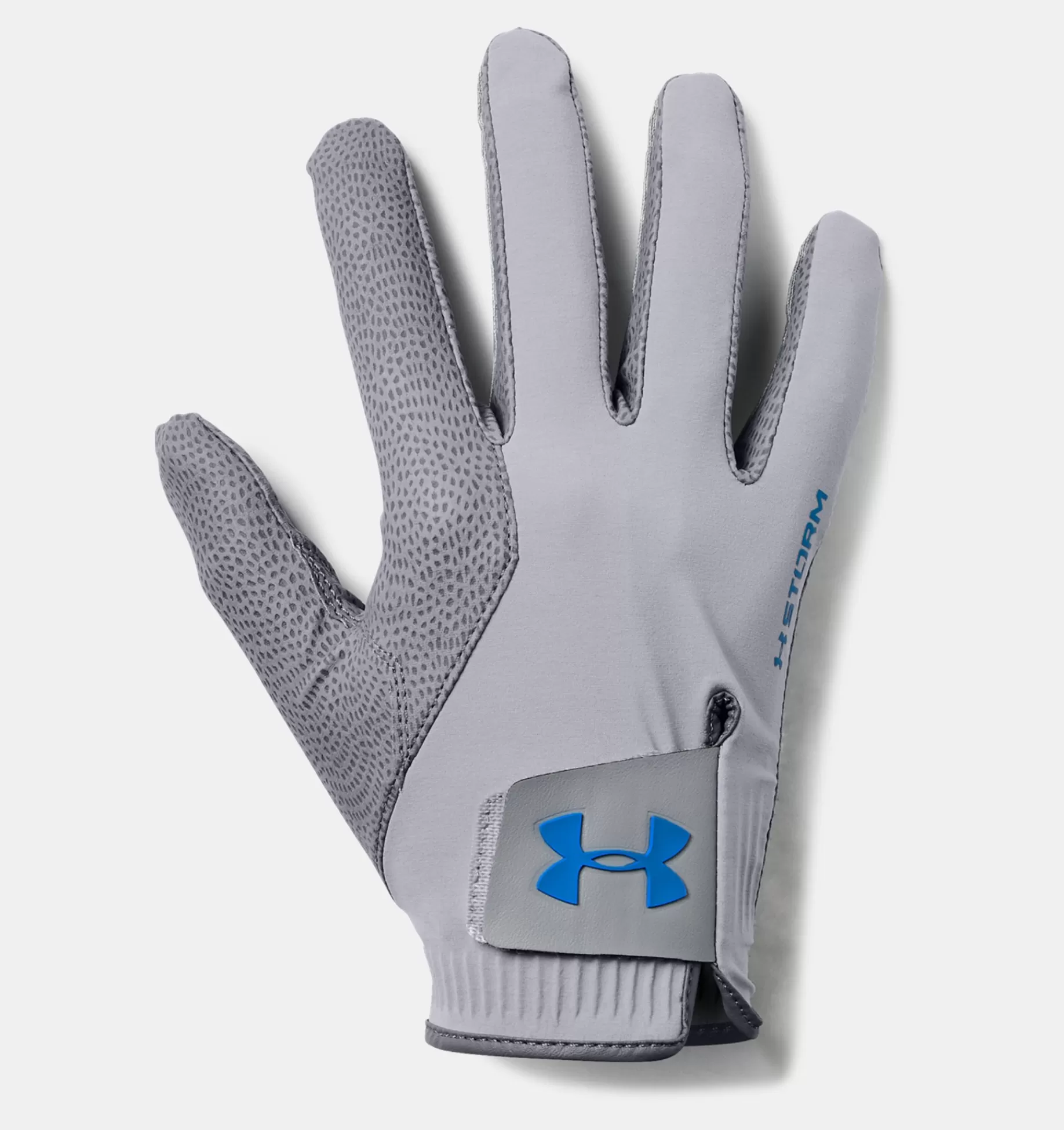 Online Under Armour Guanti Da Golf Ua Storm Steel / Royal - 035